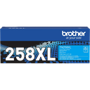 7116177.webp