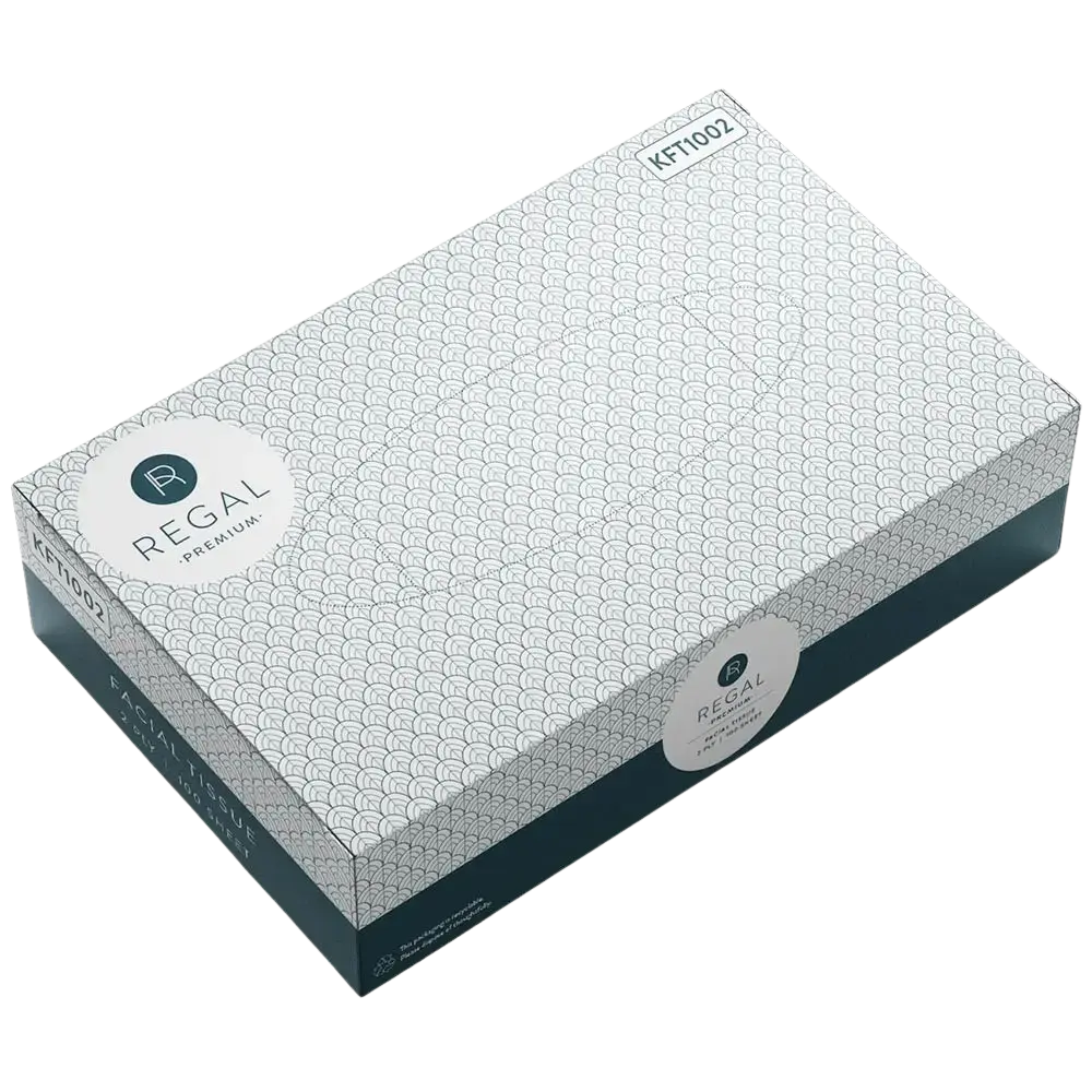 REGAL FACIAL TISSUES 2-PLY BOX 100