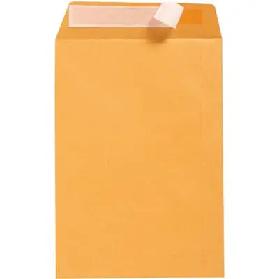 [8011680] CUMBERLAND C4 ENVELOPES POCKET PLAINFACE STRIP SEAL 100GSM 324 X 229MM GOLD BOX 250