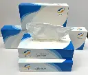 JAZICO  FACIAL TISSUES 2-PLY BOX 100