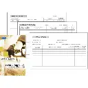 ZIONS VTED COMBINED VEHICLE LOG WITH TRAVEL AND EXPENSES RECORD BOOK