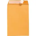 CUMBERLAND C3 ENVELOPES POCKET PLAINFACE STRIP SEAL 100GSM 458 X 324MM GOLD BOX 250